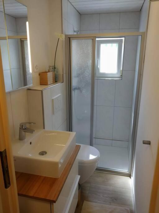 Bijou 1 Huebsche 1 Zimmer Wohnung Herisau Esterno foto